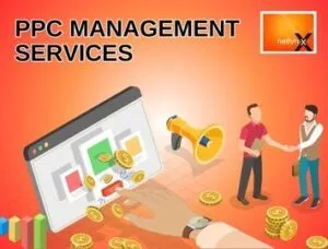 Top New York PPC management service Company - Netlynx Inc