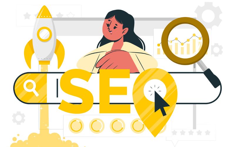 SEO Visibility
